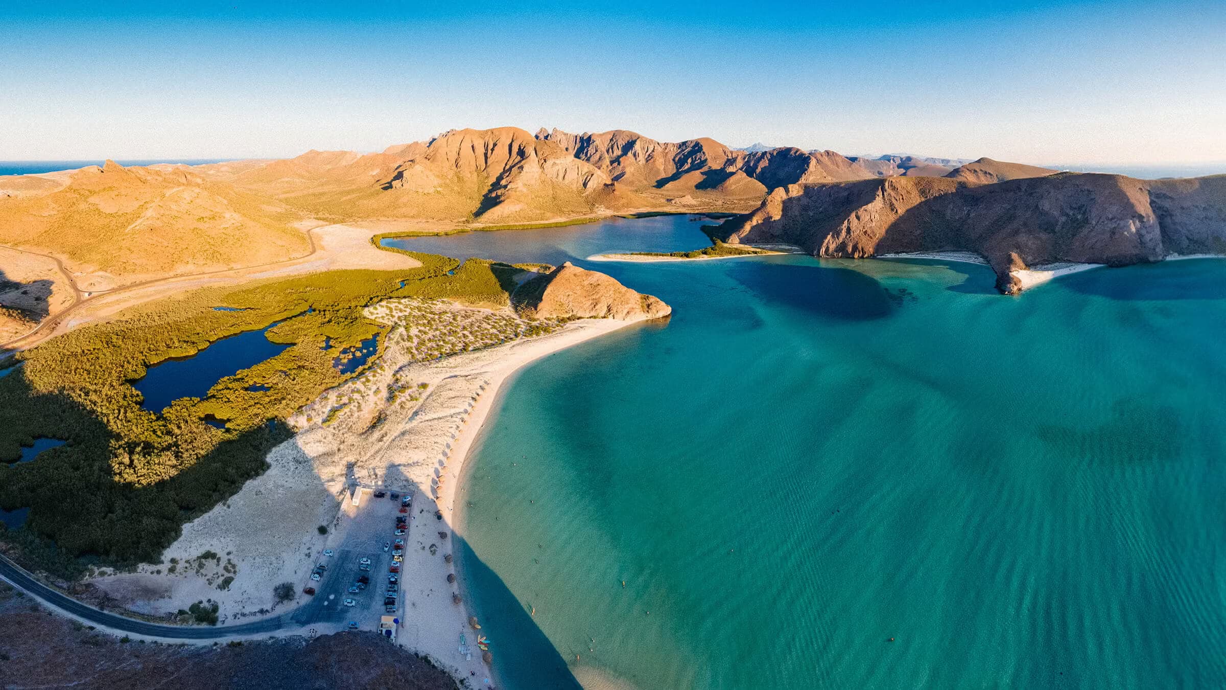 Baja Mexico Mobula & Whales Expedition