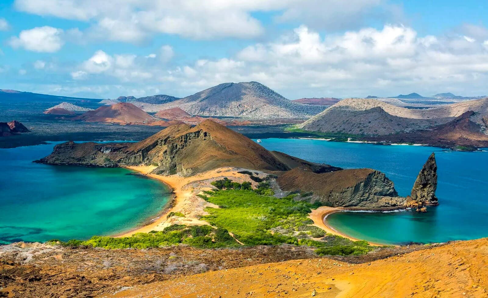 Galapagos LOB Dive Trip with MV Tiburon Explorer